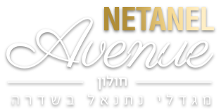 Netanel Avenue